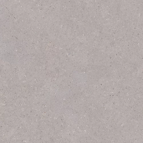Carrelage ARCHITEQ Grain Gris clair 120 x 120 cm — vue 2