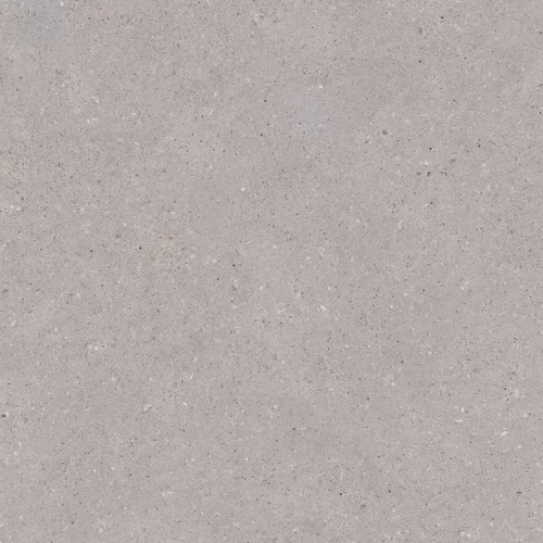 Carrelage ARCHITEQ Grain Gris clair 120 x 120 cm — vue 3