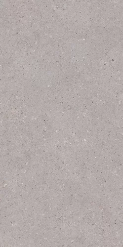 Carrelage ARCHITEQ Grain Gris clair 60 x 120 cm — vue 3