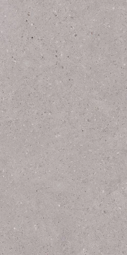 Carrelage ARCHITEQ Grain Gris clair 60 x 120 cm — vue 6
