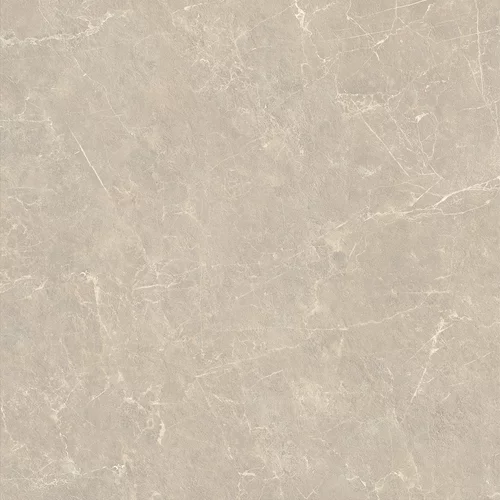 Carrelage ELORIA Structuré Taupe 120 x 120 cm — vue 4
