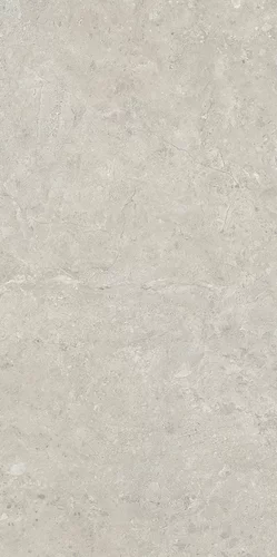 Carrelage SEDINA Gris 60 x 120 cm — vue 6